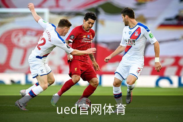ued官网体育公司简介